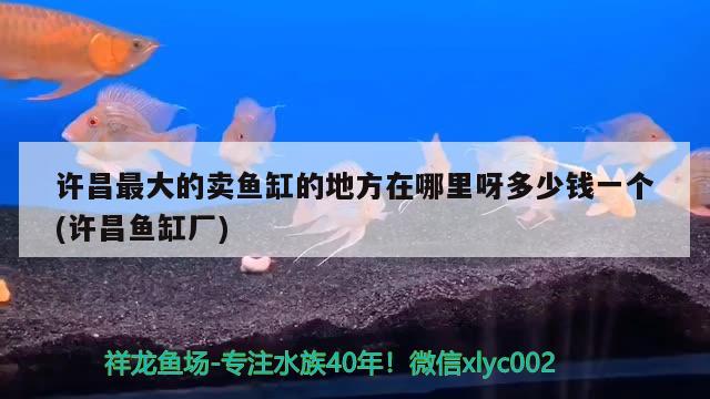 许昌最大的卖鱼缸的地方在哪里呀多少钱一个(许昌鱼缸厂) 鱼缸水泵