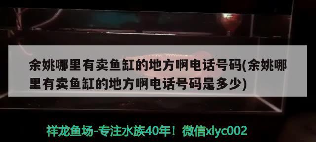 余姚哪里有卖鱼缸的地方啊电话号码(余姚哪里有卖鱼缸的地方啊电话号码是多少) 祥禾Super Red红龙鱼