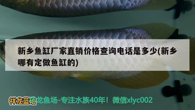 新乡鱼缸厂家直销价格查询电话是多少(新乡哪有定做鱼缸的) 祥龙传奇品牌鱼缸