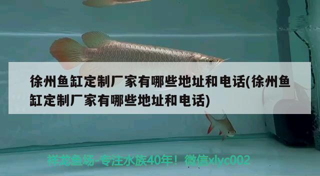 徐州鱼缸定制厂家有哪些地址和电话(徐州鱼缸定制厂家有哪些地址和电话)