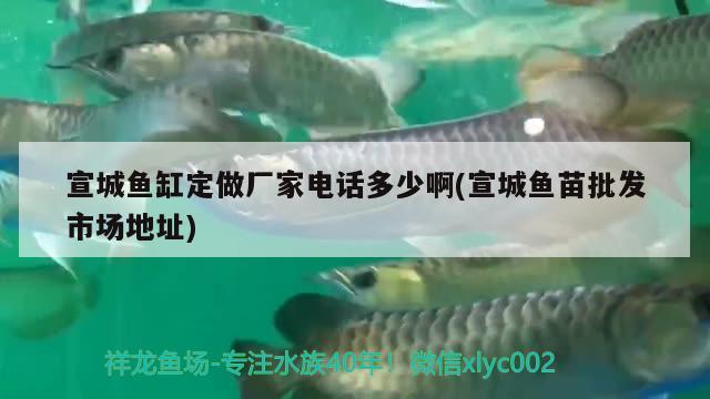 宣城鱼缸定做厂家电话多少啊(宣城鱼苗批发市场地址)