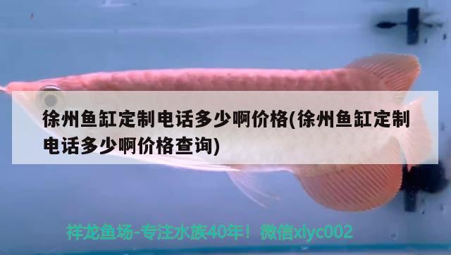 徐州鱼缸定制电话多少啊价格(徐州鱼缸定制电话多少啊价格查询) 粗线银版鱼苗