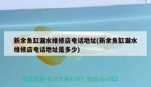 新余鱼缸漏水维修店电话地址(新余鱼缸漏水维修店电话地址是多少) B级过背金龙鱼