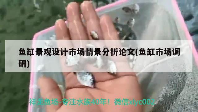 鱼缸景观设计市场情景分析论文(鱼缸市场调研) 广州景观设计 第2张