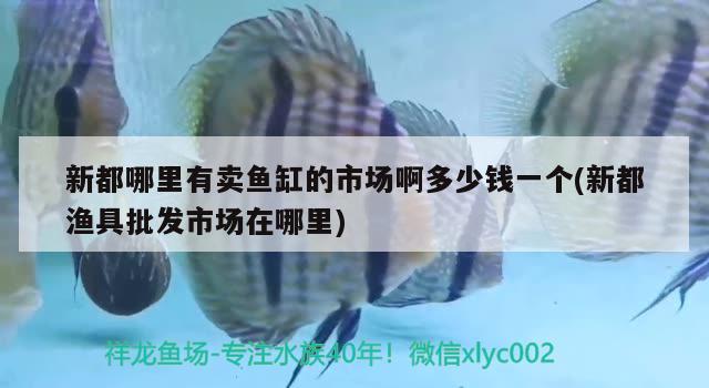 新都哪里有卖鱼缸的市场啊多少钱一个(新都渔具批发市场在哪里) 泰庞海莲鱼