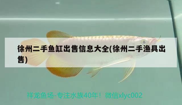 徐州二手鱼缸出售信息大全(徐州二手渔具出售) 广州水族器材滤材批发市场