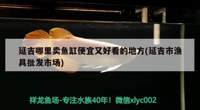 延吉哪里卖鱼缸便宜又好看的地方(延吉市渔具批发市场) 黑影道人鱼