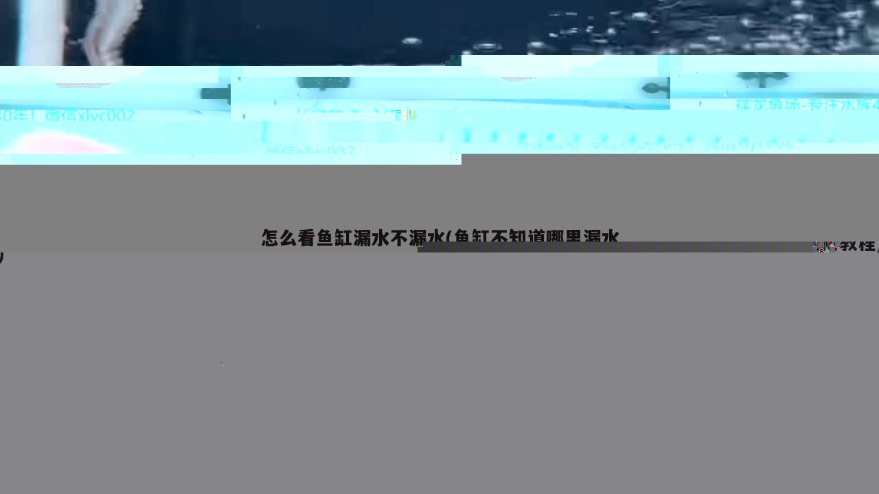 怎么看鱼缸漏水不漏水(鱼缸不知道哪里漏水,如何测试哪里漏水)