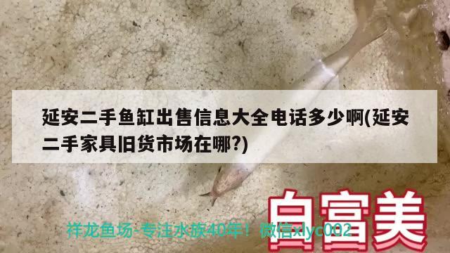 延安二手鱼缸出售信息大全电话多少啊(延安二手家具旧货市场在哪?)