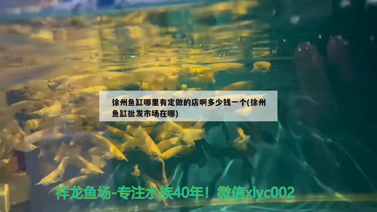 徐州鱼缸哪里有定做的店啊多少钱一个(徐州鱼缸批发市场在哪) 黑帝王魟鱼