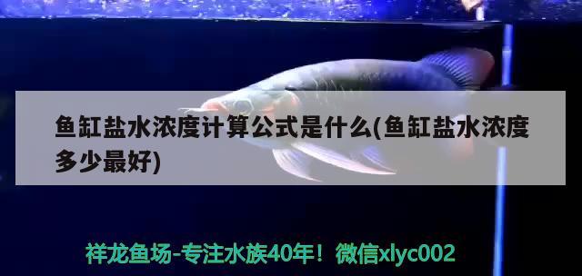 鱼缸盐水浓度计算公式是什么(鱼缸盐水浓度多少最好) 帝王三间鱼