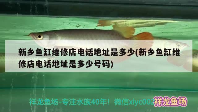 新乡鱼缸维修店电话地址是多少(新乡鱼缸维修店电话地址是多少号码)