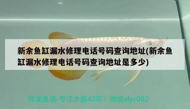 新余鱼缸漏水修理电话号码查询地址(新余鱼缸漏水修理电话号码查询地址是多少) 祥龙龙鱼鱼粮