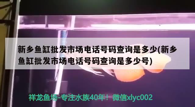 新乡鱼缸批发市场电话号码查询是多少(新乡鱼缸批发市场电话号码查询是多少号) 白子关刀鱼苗