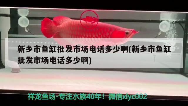 新乡市鱼缸批发市场电话多少啊(新乡市鱼缸批发市场电话多少啊) 皇冠黑白魟鱼