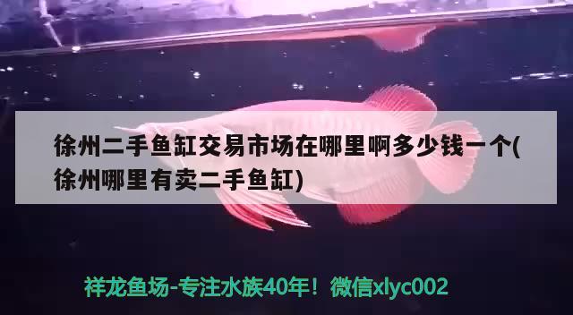 徐州二手鱼缸交易市场在哪里啊多少钱一个(徐州哪里有卖二手鱼缸) 水族世界