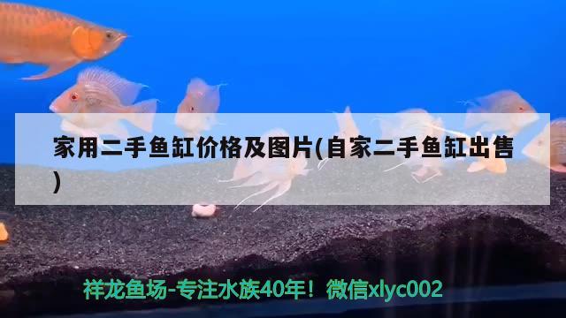 家用二手鱼缸价格及图片(自家二手鱼缸出售)