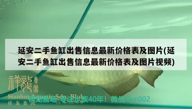 延安二手鱼缸出售信息最新价格表及图片(延安二手鱼缸出售信息最新价格表及图片视频)