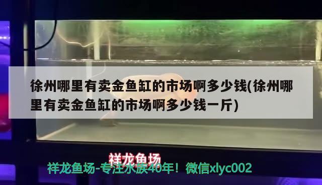 徐州哪里有卖金鱼缸的市场啊多少钱(徐州哪里有卖金鱼缸的市场啊多少钱一斤)