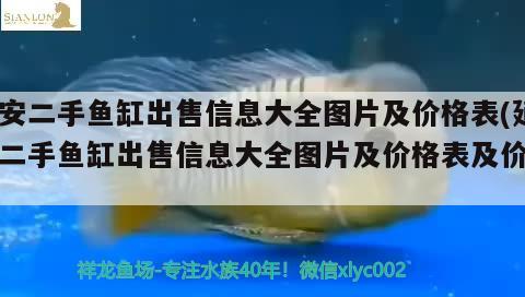 延安二手鱼缸出售信息大全图片及价格表(延安二手鱼缸出售信息大全图片及价格表及价格) 黑云鱼 第1张