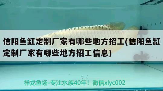 信阳鱼缸定制厂家有哪些地方招工(信阳鱼缸定制厂家有哪些地方招工信息) 白子红龙鱼