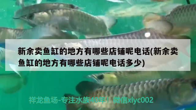 新余卖鱼缸的地方有哪些店铺呢电话(新余卖鱼缸的地方有哪些店铺呢电话多少) 纯血皇冠黑白魟鱼 第2张