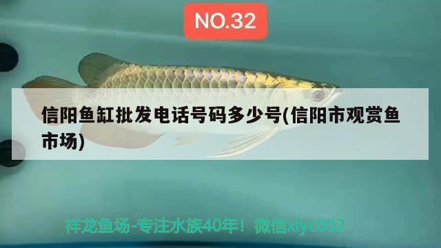 信阳鱼缸批发电话号码多少号(信阳市观赏鱼市场) 观赏鱼市场（混养鱼）