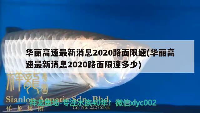 华丽高速最新消息2020路面限速(华丽高速最新消息2020路面限速多少) 观赏鱼