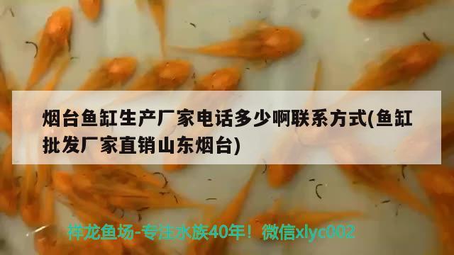 烟台鱼缸生产厂家电话多少啊联系方式(鱼缸批发厂家直销山东烟台)