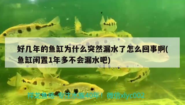 好几年的鱼缸为什么突然漏水了怎么回事啊(鱼缸闲置1年多不会漏水吧) 观赏虾蟹等饲料