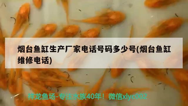 烟台鱼缸生产厂家电话号码多少号(烟台鱼缸维修电话) 鹦鹉鱼 第1张