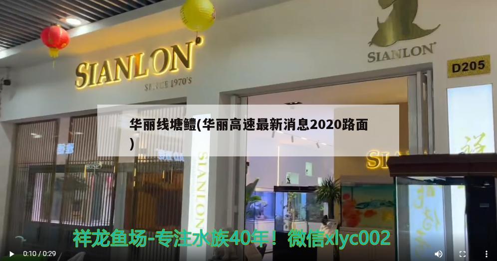 华丽线塘鳢(华丽高速最新消息2020路面)