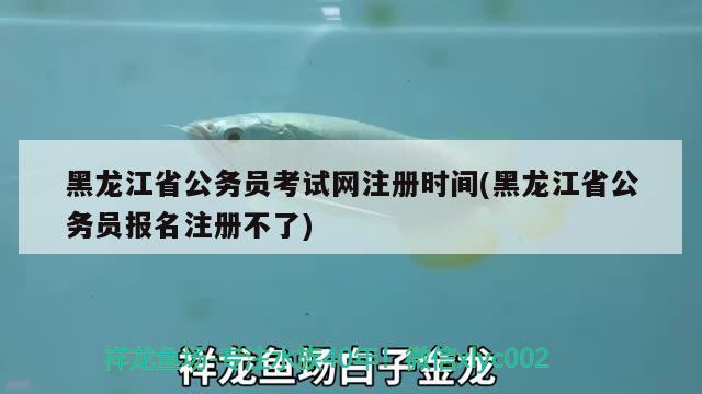 黑龙江省公务员考试网注册时间(黑龙江省公务员报名注册不了) 观赏鱼