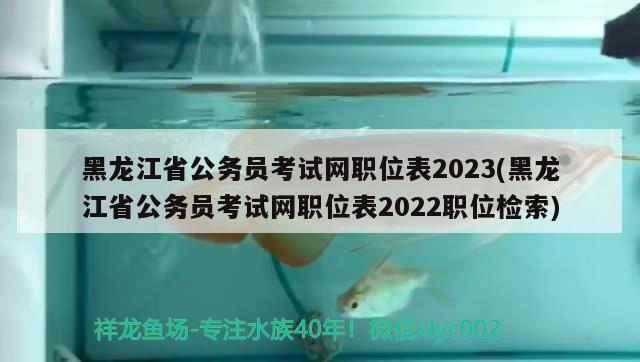 黑龙江省公务员考试网职位表2023(黑龙江省公务员考试网职位表2022职位检索)