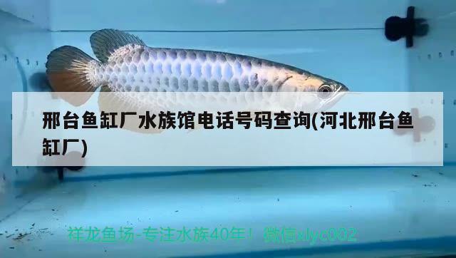 邢台鱼缸厂水族馆电话号码查询(河北邢台鱼缸厂)