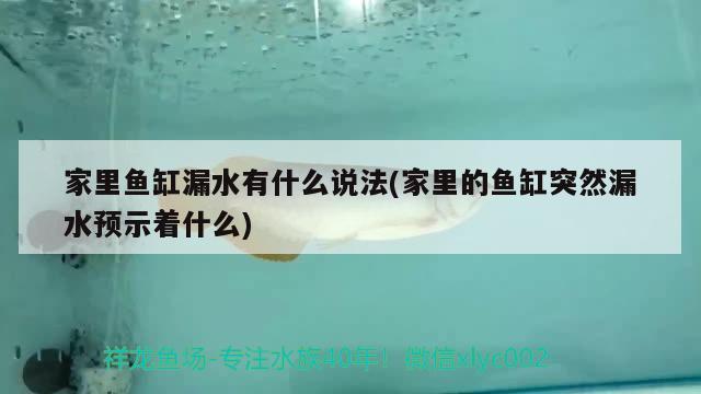 家里鱼缸漏水有什么说法(家里的鱼缸突然漏水预示着什么) 柠檬鲫