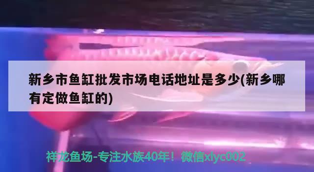 新乡市鱼缸批发市场电话地址是多少(新乡哪有定做鱼缸的)