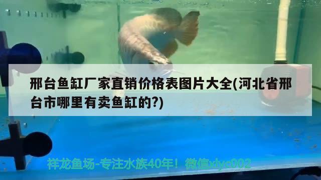 邢台鱼缸厂家直销价格表图片大全(河北省邢台市哪里有卖鱼缸的?)