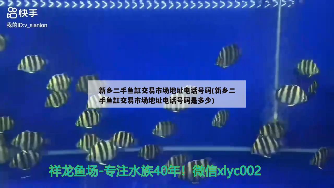 新乡二手鱼缸交易市场地址电话号码(新乡二手鱼缸交易市场地址电话号码是多少) 月光鸭嘴鱼