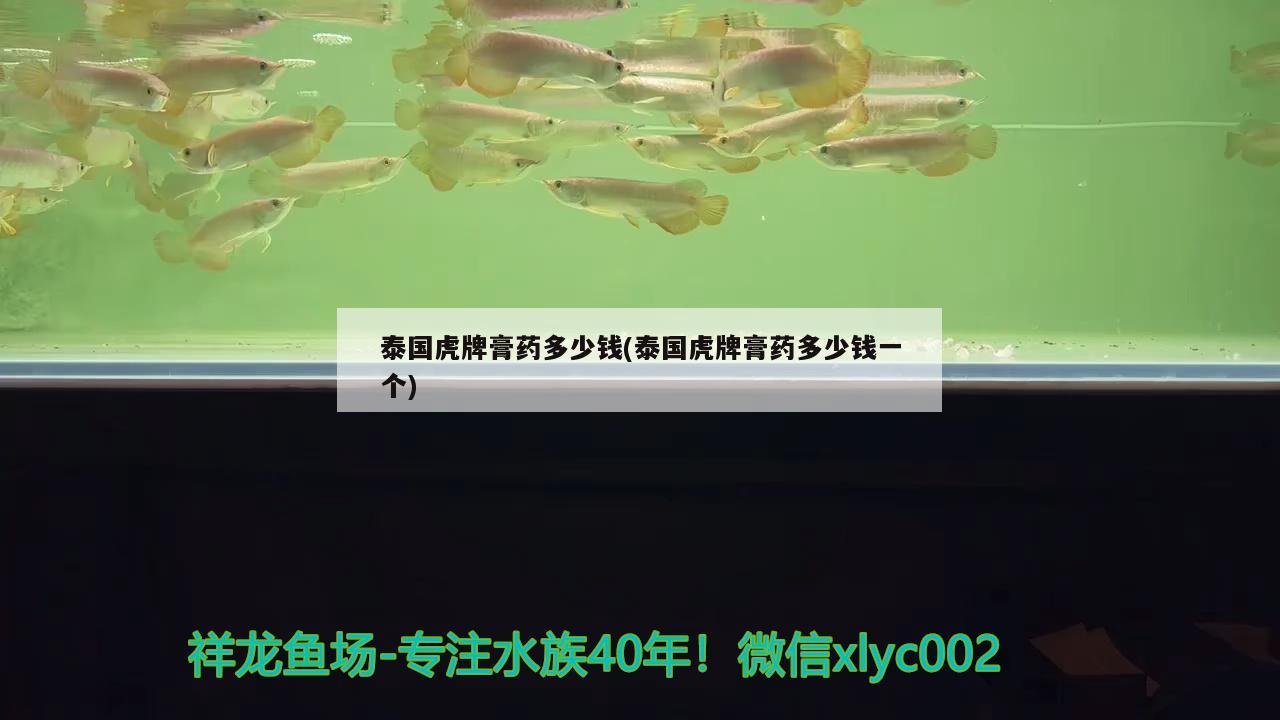 泰国虎牌膏药多少钱(泰国虎牌膏药多少钱一个)