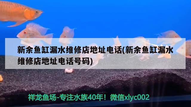 新余鱼缸漏水维修店地址电话(新余鱼缸漏水维修店地址电话号码) 养鱼的好处 第1张