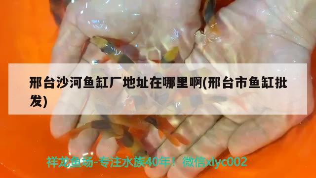 邢台沙河鱼缸厂地址在哪里啊(邢台市鱼缸批发) 广州水族批发市场