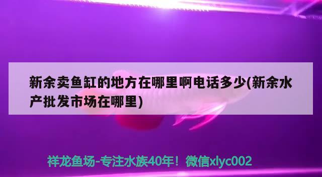 新余卖鱼缸的地方在哪里啊电话多少(新余水产批发市场在哪里)