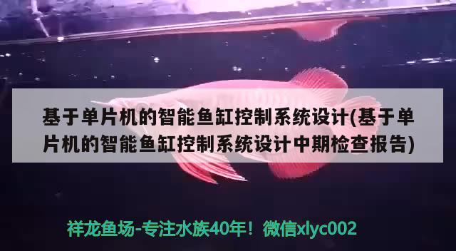 基于单片机的智能鱼缸控制系统设计(基于单片机的智能鱼缸控制系统设计中期检查报告) 鱼粮鱼药