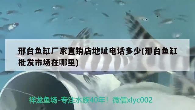 邢台鱼缸厂家直销店地址电话多少(邢台鱼缸批发市场在哪里) 红头利鱼