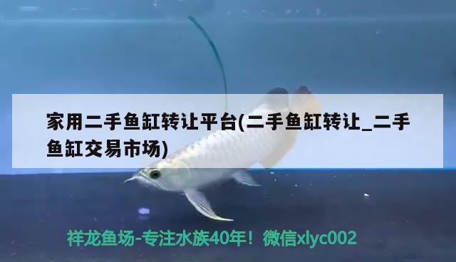 家用二手鱼缸转让平台(二手鱼缸转让_二手鱼缸交易市场) 水草 第1张