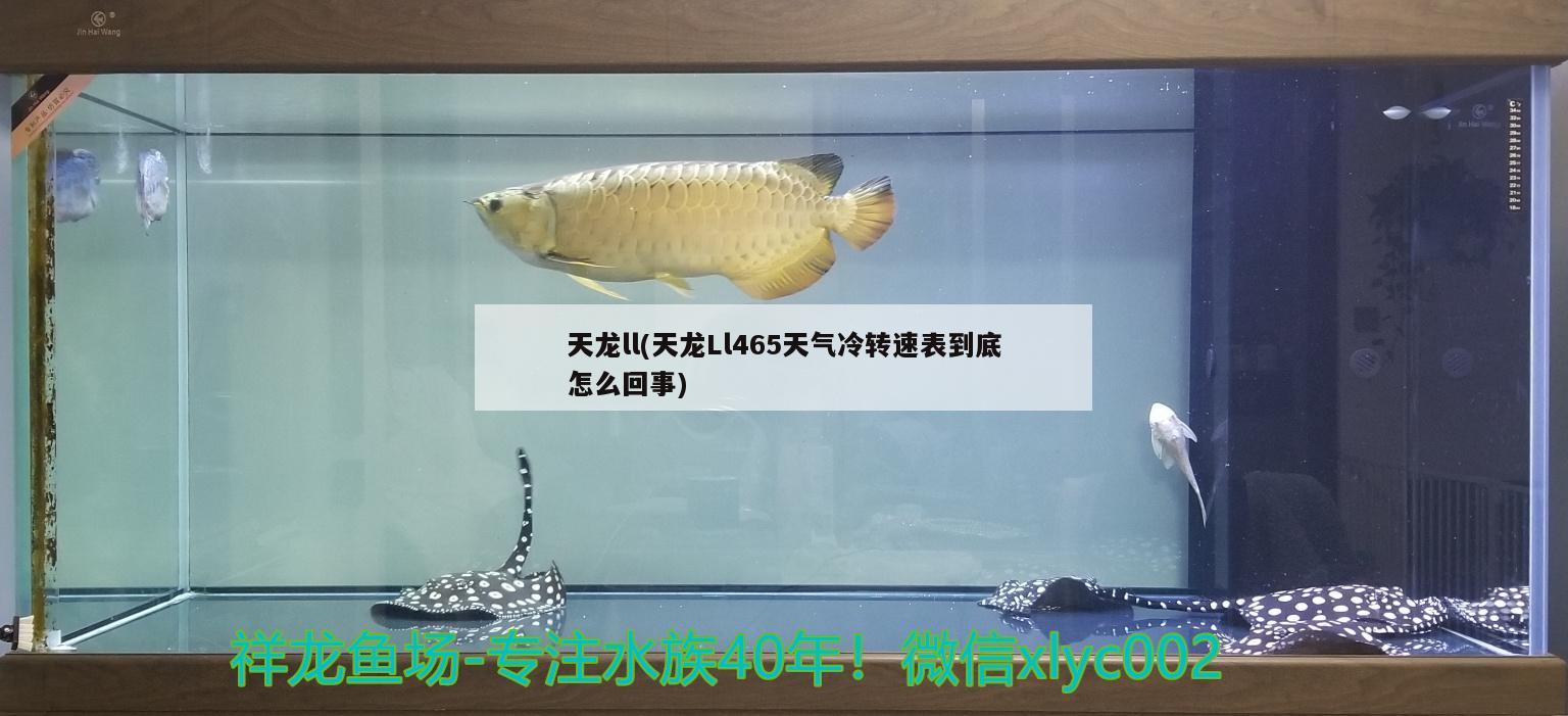 天龙ll(天龙Ll465天气冷转速表到底怎么回事)