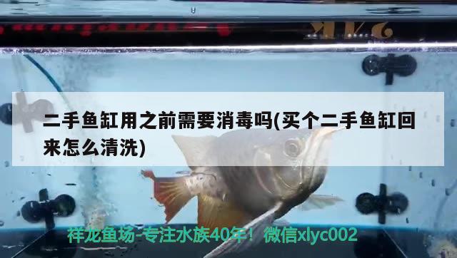 二手鱼缸用之前需要消毒吗(买个二手鱼缸回来怎么清洗) 粗线银版鱼苗