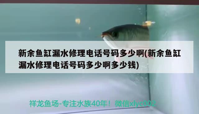 新余鱼缸漏水修理电话号码多少啊(新余鱼缸漏水修理电话号码多少啊多少钱)