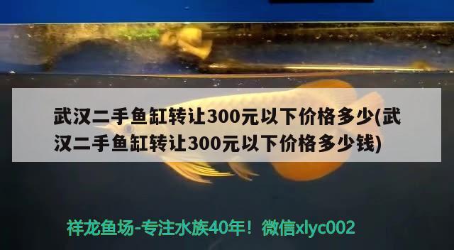 武汉二手鱼缸转让300元以下价格多少(武汉二手鱼缸转让300元以下价格多少钱)